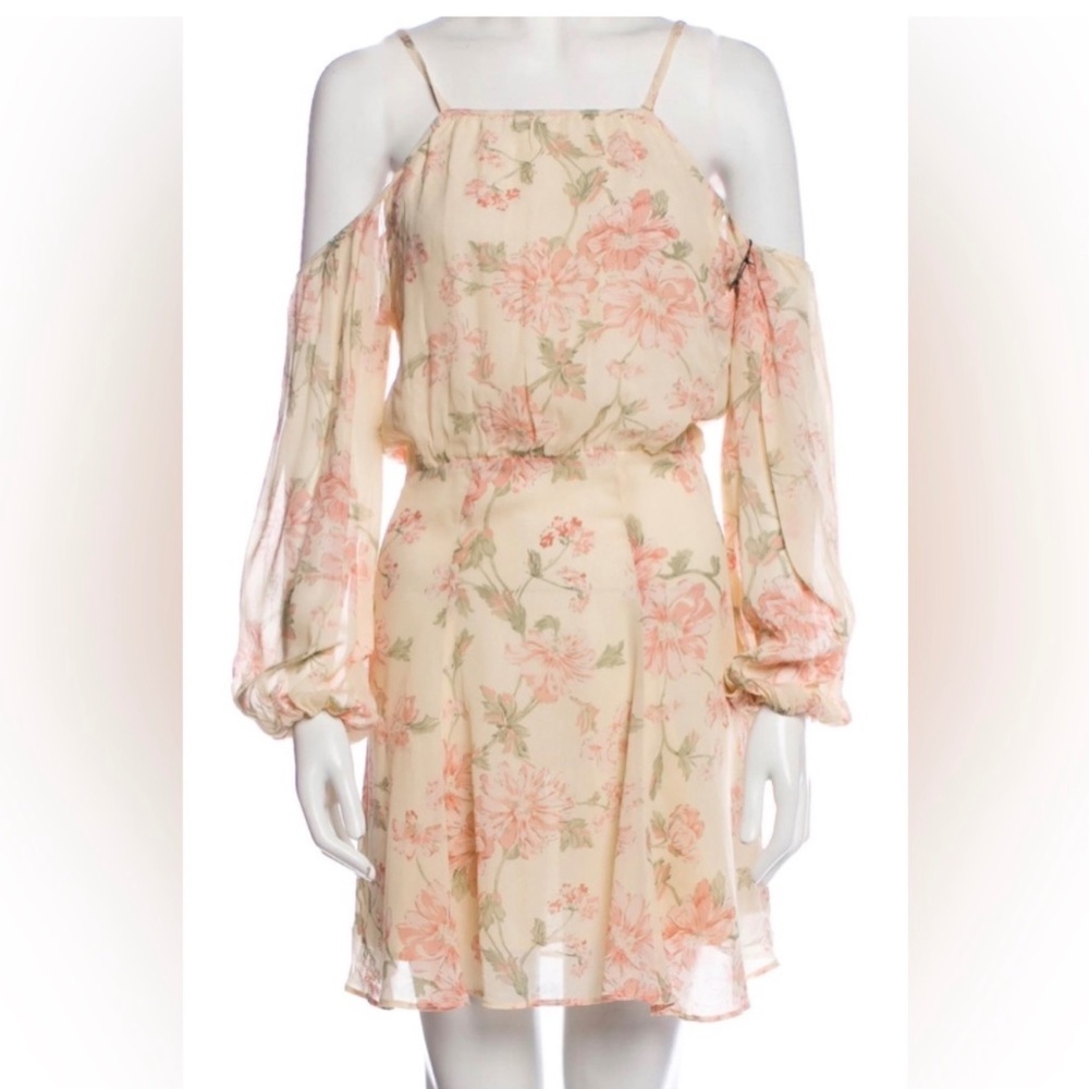 Reformation Nadia Fairy Sheer‎ Cold Shoulder Long Sleeve Floral Mini Dress XS
